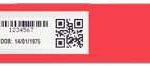 Wristband ZEBRA Z BAND