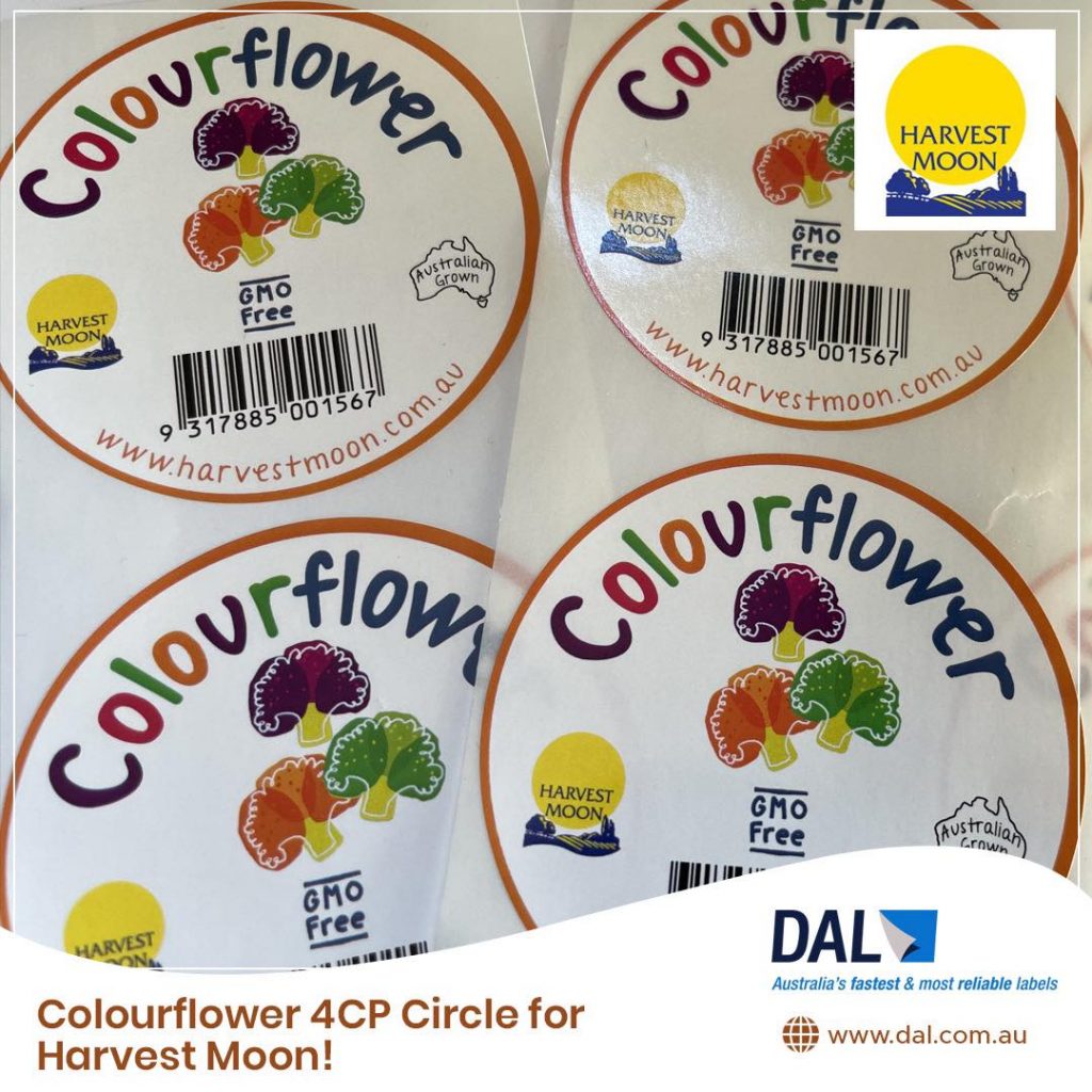Colourflower 4CP Circle for Harvest Moon!